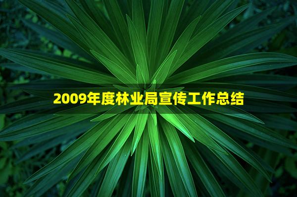 2009年度林业局宣传工作总结(2006年县林业局工作总结)
