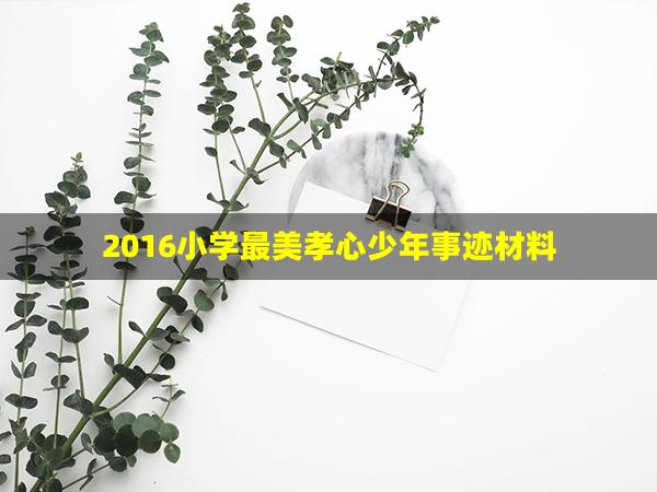 2016小学最美孝心少年事迹材料