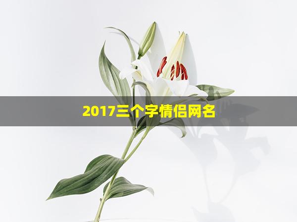 2017三个字情侣网名(三个字情侣网名最新)