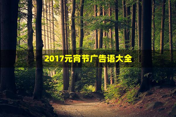 2017元宵节广告语大全(元宵广告语)