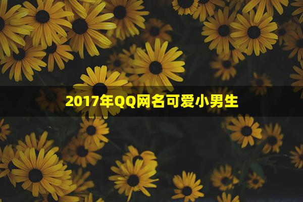 2017年QQ网名可爱小男生