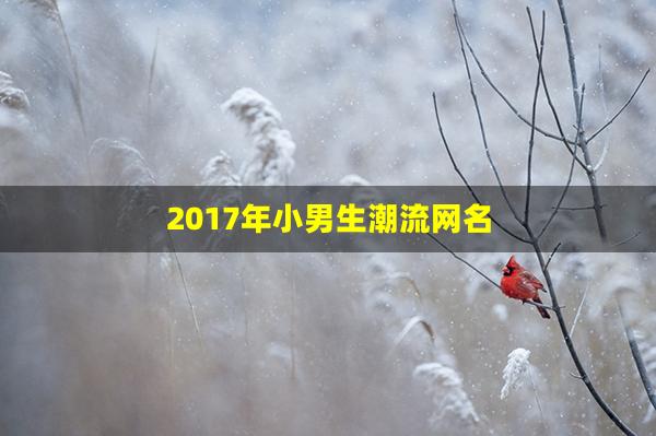 2017年小男生潮流网名(潮流个性网名男)
