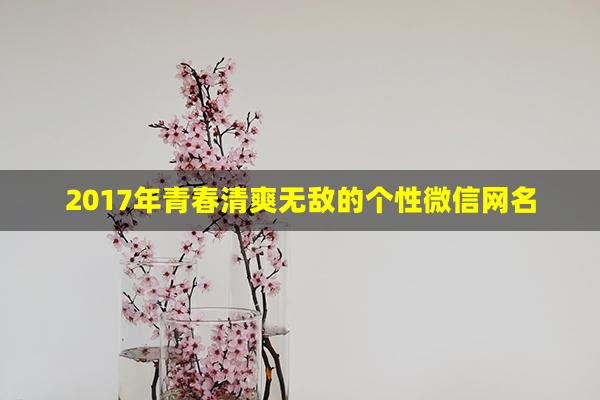 2017年青春清爽无敌的个性微信网名(2017年个性微信网名)