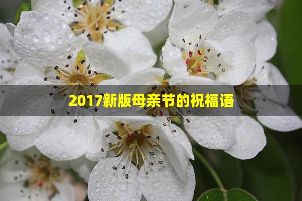 2017新版母亲节的祝福语(母亲节,祝福语)