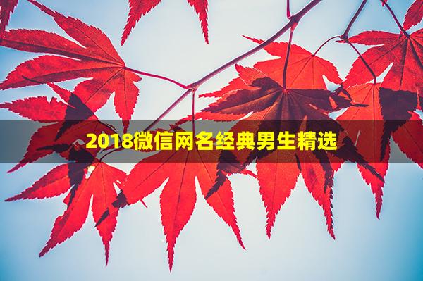 2018微信网名经典男生精选(微信最新网名男生好听)
