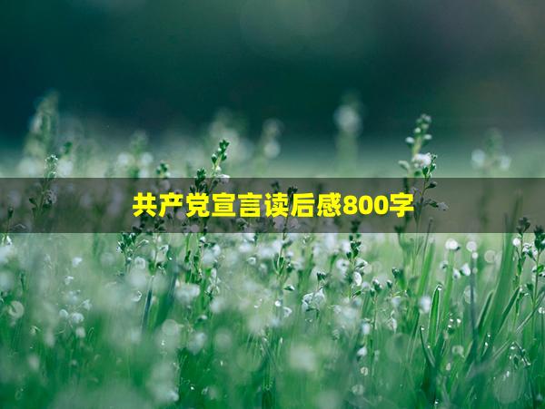 共产党宣言读后感800字(中共共产党党章)