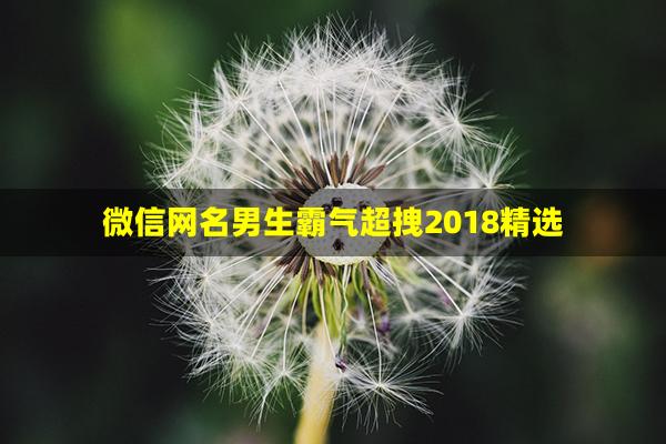 微信网名男生霸气超拽2018精选