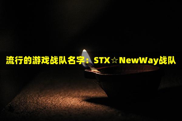 流行的游戏战队名字：STX☆NewWay战队(有名的游戏战队名字)