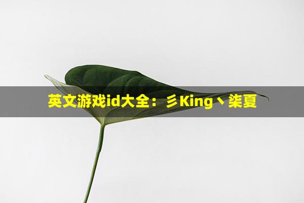英文游戏id大全：彡King丶柒夏(游戏英文Id)