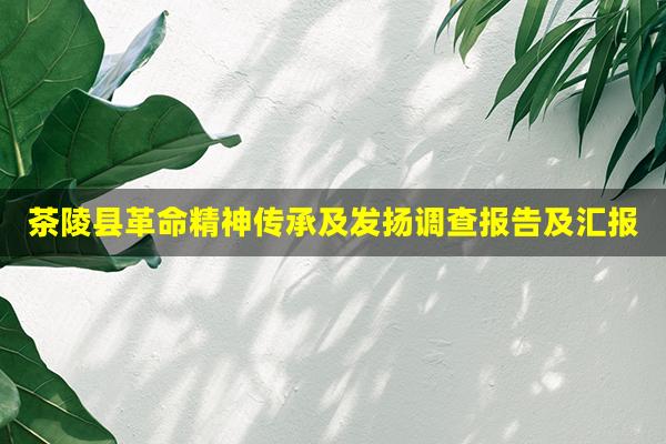茶陵县革命精神传承及发扬调查报告及汇报