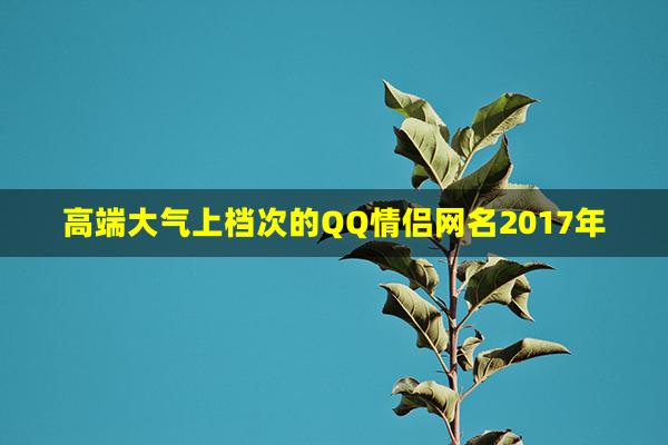 高端大气上档次的QQ情侣网名2017年(qq情侣网名好听)