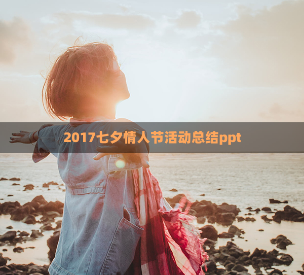 2017七夕情人节活动总结ppt